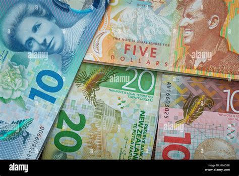 8000 nzd|8000(NZD) New Zealand Dollar(NZD) To Philippine Peso(PHP).